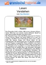 Flusspferd - Sachtext.pdf